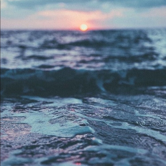 Meet your Posher, Tara - Picture 6 of 8